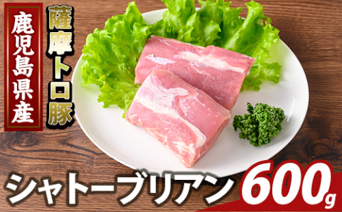 K-487-B 鹿児島県産 薩摩トロ豚 シャトーブリアン(計600g)【ふるさと産直バザール】霧島市 シャトーブリアン ヒレ肉 国産 鹿児島県産 肉 精肉 2073503 - 鹿児島県霧島市