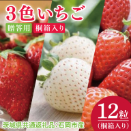 【先行予約】3色いちご　桐箱入り　12粒（茨城県共通返礼品：石岡市産）※2025年12月より発送開始（CD103）