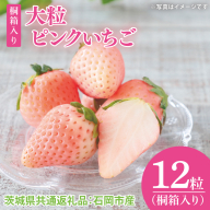 【先行予約】桐箱入り 大粒ピンクいちご 12粒（茨城県共通返礼品：石岡市産）※2025年12月より発送開始（CD104）