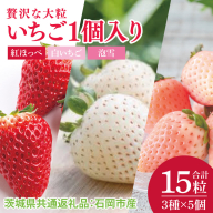 【先行予約】贅沢な大粒いちご1個入り　紅ほっぺ、白いちご、泡雪×各5個ずつ（計15粒）（茨城県共通返礼品：石岡市産）※2025年12月より発送開始（CD106）