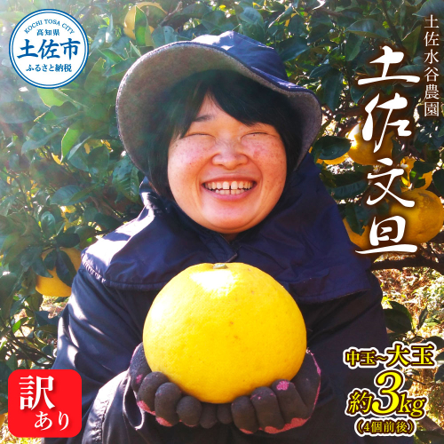 本場、高知県土佐市産！土佐水谷農園の露地土佐文旦 家庭用3キロ 3kg 中玉～大玉（3L～上限なし：4玉前後）皮むき器付き 訳あり 文旦 ぶんたん ブンタン 土佐文旦 ご自宅用 柑橘 フルーツ 果物 土佐 高知 2073578 - 高知県土佐市