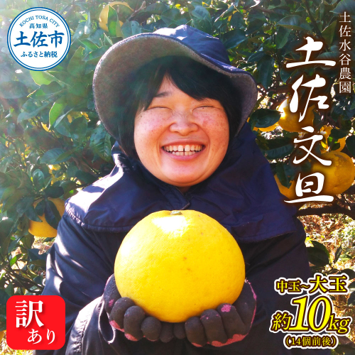 本場、高知県土佐市産！土佐水谷農園の露地土佐文旦 家庭用10キロ 10kg 中玉～大玉（3L～上限なし：14玉前後）皮むき器付き 訳あり 2073580 - 高知県土佐市