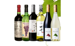 未来夢ワイナリー 甲州タイプ/白・やや辛口 Alc/12%10ヵ月間瓶内熟成し程よい酸味と甲州ワイン独特な香りがマッチし貴賓さえ感じる高級なやや辛口のワインに仕上がりました。新設ワイナリーの指導では県