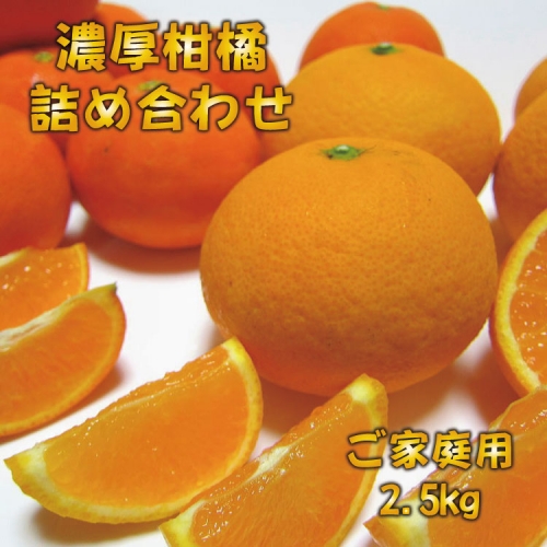 有田育ちの濃厚柑橘詰め合わせセット(ご家庭用)　約2.5kg 207478 - 和歌山県新宮市