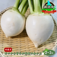 北海道釧路町 特産品 ほのかな甘みが特徴の白かぶ（白カブ）＜2～3コ＞新鮮な野菜 ＜出荷時期：2022年6月1～9月30日ごろ＞