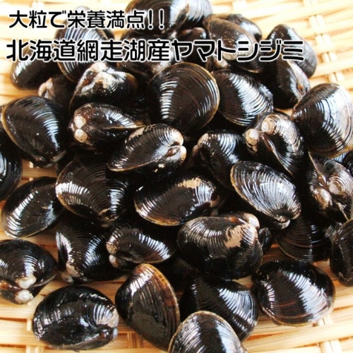 北海道 網走湖産 冷凍しじみ 2kg◇ 207695 - 北海道網走市 | au PAY ...