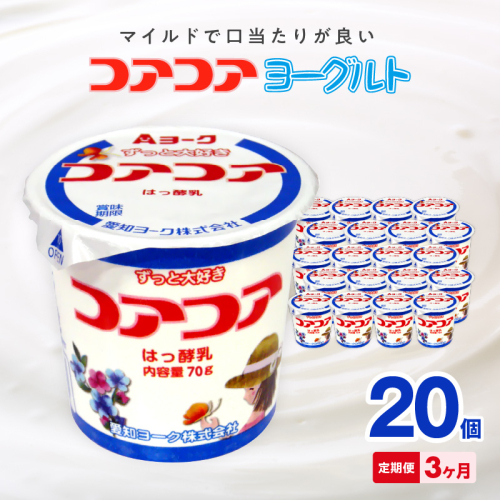 【3ヶ月定期便】愛知ヨーク　コアコアヨーグルト　20個入［108A01-T］ 2077448 - 愛知県小牧市