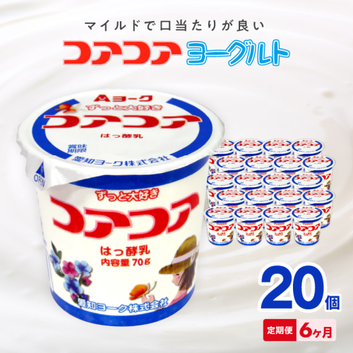 【6ヶ月定期便】愛知ヨーク　コアコアヨーグルト　20個入［108A02-T］ 2077449 - 愛知県小牧市