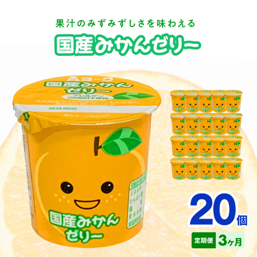 【3ヶ月定期便】愛知ヨーク　国産みかんゼリー　20個入［108A03-T］ 2077450 - 愛知県小牧市