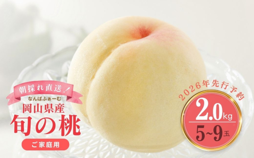 ＜数量限定＞［なんばふぁーむ］岡山県産 旬の桃 2.0kg（5〜9玉）［ご家庭用］【2026年発送】 2077485 - 岡山県鏡野町