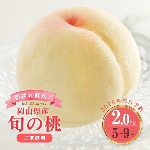 ＜数量限定＞［なんばふぁーむ］岡山県産 旬の桃 2.0kg（5〜9玉）［ご家庭用］【2026年発送】 2077485 - 岡山県鏡野町