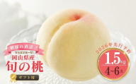 [数量限定][なんばふぁーむ]岡山県産 旬の桃 1.5kg(4〜6玉)[ギフト用][2026年発送]039-a003