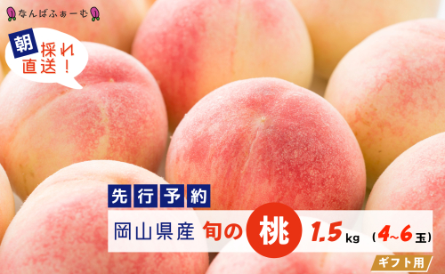 【2025年先行予約】［なんばふぁーむ］岡山県産 旬の桃 1.5kg（4～6玉）[ギフト用] 2077488 - 岡山県鏡野町