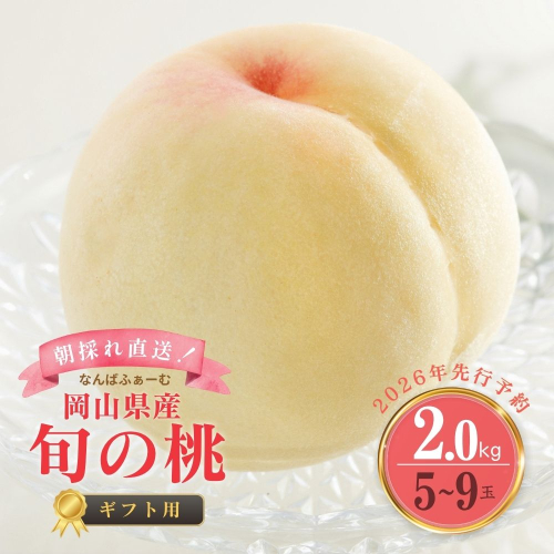 ＜数量限定＞［なんばふぁーむ］岡山県産 旬の桃 2.0kg（5～9玉）[ギフト用]【2026年発送】039-a004 2077489 - 岡山県鏡野町