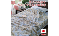椿オイル加工 ふんわり綿毛布 シングルサイズ 約140×200cm ブルー CNM-300-BL
