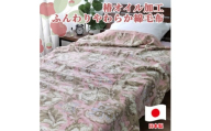 椿オイル加工 ふんわり綿毛布 シングルサイズ 約140×200cm ピンク CNM-300-PI