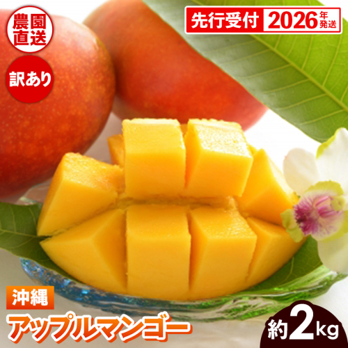 【先行受付】【2026年発送】ヤマト農園 アップルマンゴー訳あり約2kg（4～6玉）- 先行予約 沖縄県産 産地直送 南国フルーツ 旬の味覚 季節の果物 ご自宅用 訳アリ 沖縄マンゴー 沖縄県 八重瀬町 2077716 - 沖縄県八重瀬町