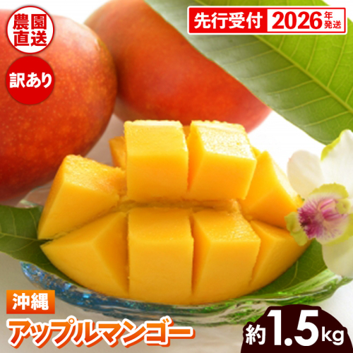 【先行受付】【2026年発送】ヤマト農園 アップルマンゴー訳あり約1.5kg（3～6玉）- 先行予約 沖縄県産 産地直送 南国フルーツ 旬の味覚 季節の果物 ご自宅用 訳アリ 沖縄マンゴー 沖縄県 八重瀬町 2077717 - 沖縄県八重瀬町
