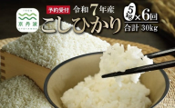 【6回定期便】 《新米先行予約》 こしひかり 和知のお米 5kg 定期便 3回 6カ月 合計30kg 京都 丹波 京丹波町産 米 コメ コシヒカリ 精米 産地直送 ※北海道・東北・沖縄・その他離島は配送不可 [084MTK001R]