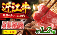 近江牛ロース1.2kg 滋賀県長浜市/有限会社旭ミイト [AQDB007] 肉 牛肉 近江牛 ロース 切り落とし 切落し 切り落し スライス 焼肉 すき焼き しゃぶしゃぶ 高級 黒毛和牛 人気 国産 冷凍