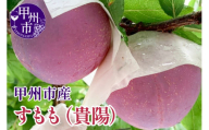 【クール配送】すもも（貴陽）7～9玉（合計約1.5kg）【2025年発送】（KFT）C-1810 【貴陽 すもも スモモ 令和7年発送 期間限定 山梨県産 甲州市 フルーツ 果物】