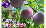 【クール配送】すもも（太陽）7～9玉（合計約1.5kg）【2025年発送】（KFT）C-1811 【太陽 すもも スモモ 令和7年発送 期間限定 山梨県産 甲州市 フルーツ 果物】