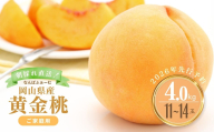 [2026年先行予約][なんばふぁーむ]岡山県産 黄金桃 4.0kg(11〜14玉)[ご家庭用]039-a007