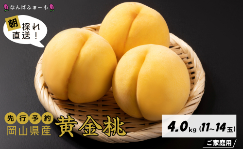 【2025年先行予約】［なんばふぁーむ］岡山県産 黄金桃 4.0kg（11～14玉）［ご家庭用］ 2078059 - 岡山県鏡野町