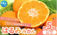 【来シーズン先行予約】農家直送  はるみみかん 約5kg S～4Lサイズ混合 ※2026年2月上旬～順次発送農家直送 / くだもの  果実  柑橘 果物 フルーツ 国産 和歌山県 由良町 ご家庭用 人気 おすすめ【nktn012】