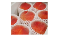 ＜2025年度先行受付＞徳島の桃　happeach　糖度13度以上　2kg(7個入り)【1612305】