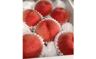 ＜2025年度先行受付＞徳島の桃　happeach　糖度13度以上　2kg(6個入り)【1612306】