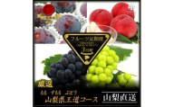 ＜発送月固定定期便＞フルーツ定期便全3回【4066756】