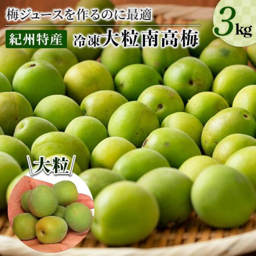 【数量限定】梅ジュースに最適！紀州特産　冷凍南高梅　3kg 207892 - 和歌山県那智勝浦町