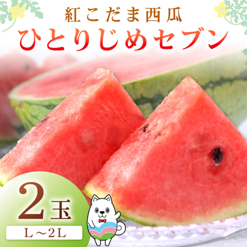 紅こだま西瓜（ひとりじめセブン）2玉入り《先行予約2027年5月中旬から順次発送》 207926 - 和歌山県御坊市
