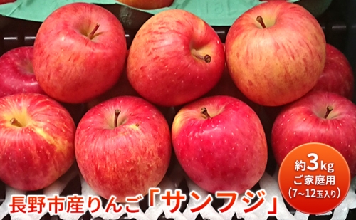 長野市産りんご「サンフジ」約5kg　ご家庭用※配送不可地域あり