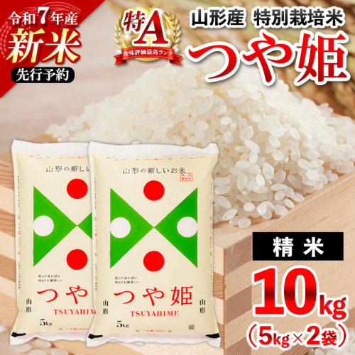 先行予約 令和7年産 新米 山形産 特別栽培米 つや姫(白米)10kg(5kg×2)【11月発送】 FZ25-082 2080197 - 山形県山形市