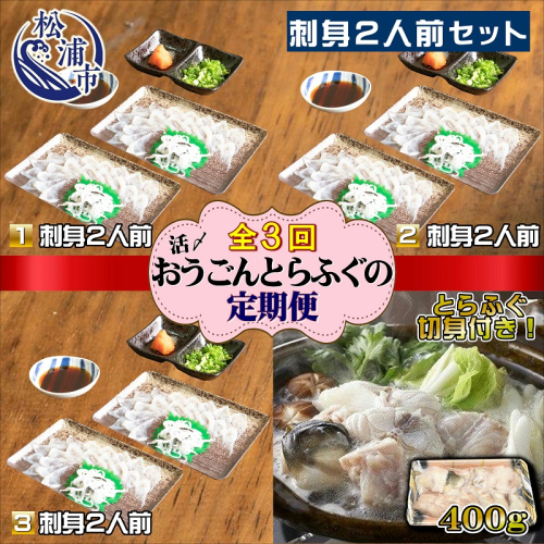 【全3回定期便】活〆おうごんとらふぐ刺身2人前セット　3回目鍋用切身400g付( 定期便 とらふぐ 鍋用 切り身 刺身 九州 長崎県 松浦市 )【G0-009】 208027 - 長崎県松浦市