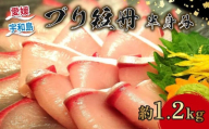 ブリ 冊 半身分 約 1.2kg 短冊 有限会社 アクアプラス ブランド魚 鰤 ブランド ぶり buri 刺身 刺し身 お刺身 お刺し身 さしみ 海鮮丼 丼 丼ぶり どんぶり カルパッチョ サラダ しゃぶしゃぶ おすすめ 産地直送 真空パック お手軽 便利 海鮮 水産 加工品 食品 冷蔵 国産 愛媛 宇和島 D030-090003