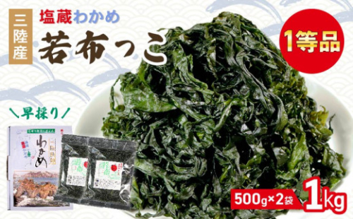 早採り 塩蔵わかめ 若布っこ 500g×2袋 海鮮 海藻 わかめ ワカメ 贈答品 贈答用 魚貝類 魚介類 みそ汁 スープ 酢の物 小分け 三陸産 岩手県 大船渡市