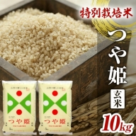 SA1302　令和3年産【玄米】特別栽培米 つや姫10kg(5kg×2袋) YA