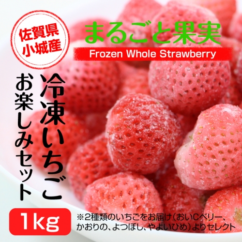 冷凍いちごお楽しみセット1kg しもむら農園 スムージー ジャム 朝採れ 208109 - 佐賀県小城市