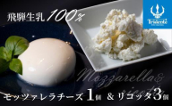 飛騨生乳100％ モッツァレラ1個 & リコッタ3個セット | セット チーズ 冷蔵 濃厚 低温殺菌 乳製品 おいしい 人気 株式会社リアライン  LF012