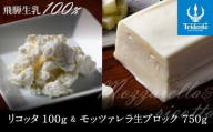 飛騨生乳100％ リコッタ1個 &  モッツァレラチーズ生ブロック1個セット | セット チーズ 冷蔵 濃厚 低温殺菌 乳製品 おいしい 人気 株式会社リアライン LF017