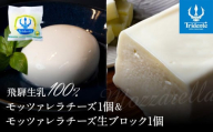 飛騨生乳100％ モッツァレラ1個 &  モッツァレラチーズ生ブロック1個セット | セット チーズ 冷蔵 濃厚 低温殺菌 乳製品 おいしい 人気 株式会社リアライン LF018
