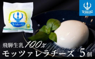 飛騨生乳100％ モッツァレラチーズ5個 セット | セット チーズ 冷蔵 濃厚 低温殺菌 乳製品 おいしい 人気 株式会社リアライン LF019