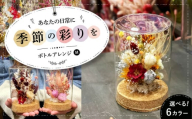 【イエローオレンジベース】ドライフラワー ボトルアレンジM（選べる6タイプ）  ドライフラワー 乾燥花 プリザーブドフラワー アレンジメント フラワーアレンジ 三次市/ iolite flowers[APBT003-4]