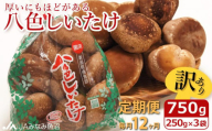 【JAみなみ魚沼定期便】家庭用「八色しいたけ」（750g×全12回） 訳あり 不ぞろい 農家応援 厚いにもほどがある