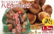 【JAみなみ魚沼定期便】家庭用「八色しいたけ」（1.5kg×全6回） 訳あり 不ぞろい 農家応援 厚いにもほどがある