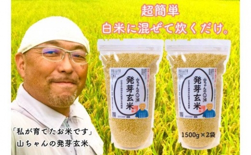 農家直送『山ちゃんの発芽玄米』１５００ｇ×２袋 208185 - 岐阜県八百津町