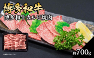 博多和牛カルビ焼肉 約700g 肉 お肉 博多和牛 和牛 牛肉 カルビ バラ 国産 3～4人前 冷凍 冷凍配送 使い切りサイズ 霜降り 絶品 濃厚 柔らかい ジューシー 焼肉 家族団らん 福岡県 八女市